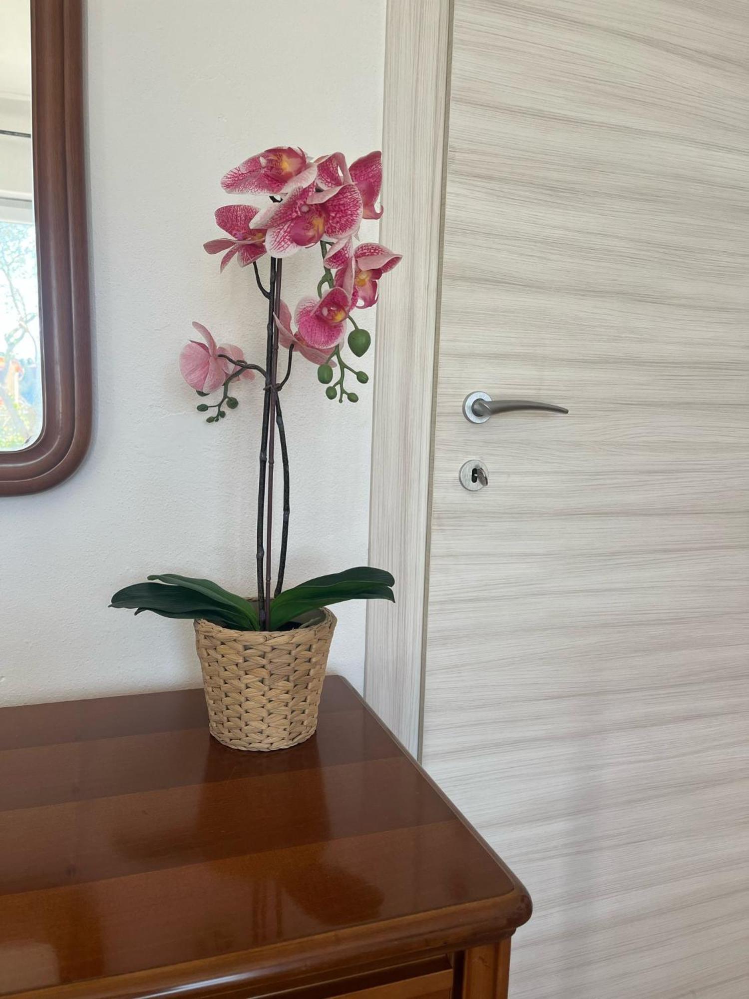 فندق Il Giardino Del Nespolo أركولا المظهر الخارجي الصورة